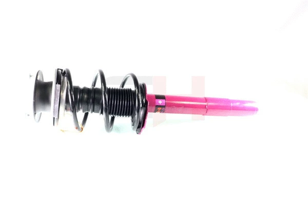 Suspension Strut (GH+351581C01)
