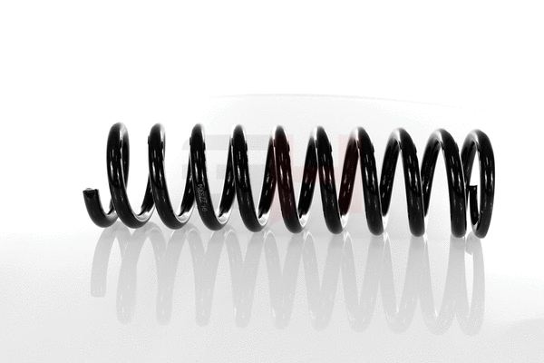 Suspension Spring (GH-223304)