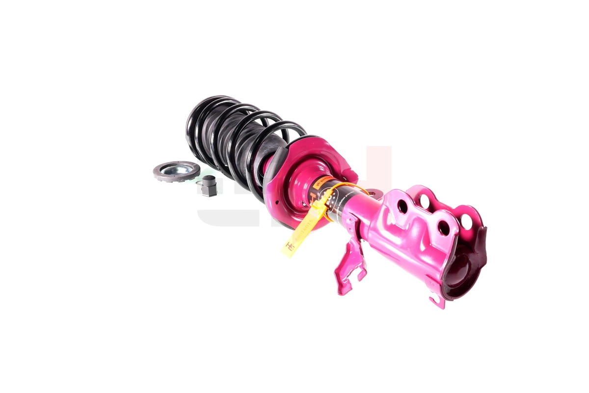 Suspension Strut (GH+352227C01)