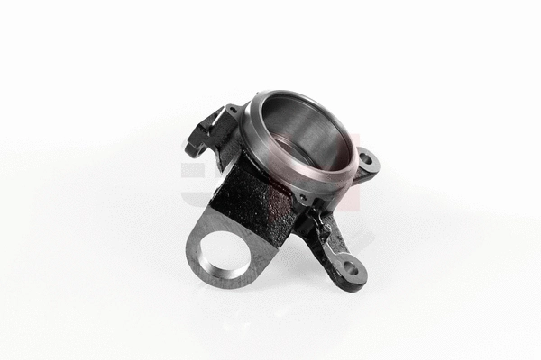 Steering Knuckle, wheel suspension
