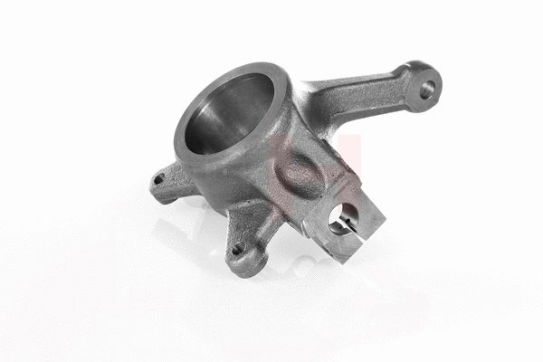 Steering Knuckle, wheel suspension