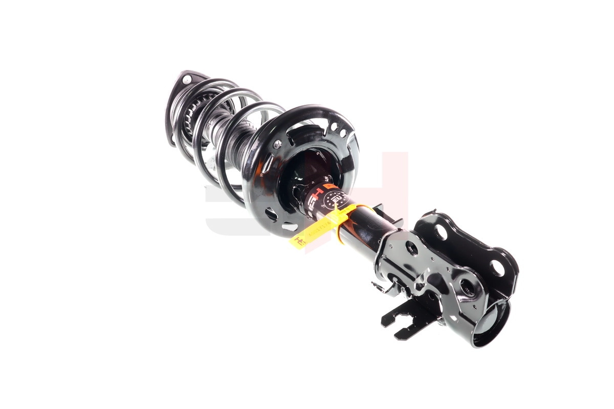 Suspension Strut (GH-353286C03)