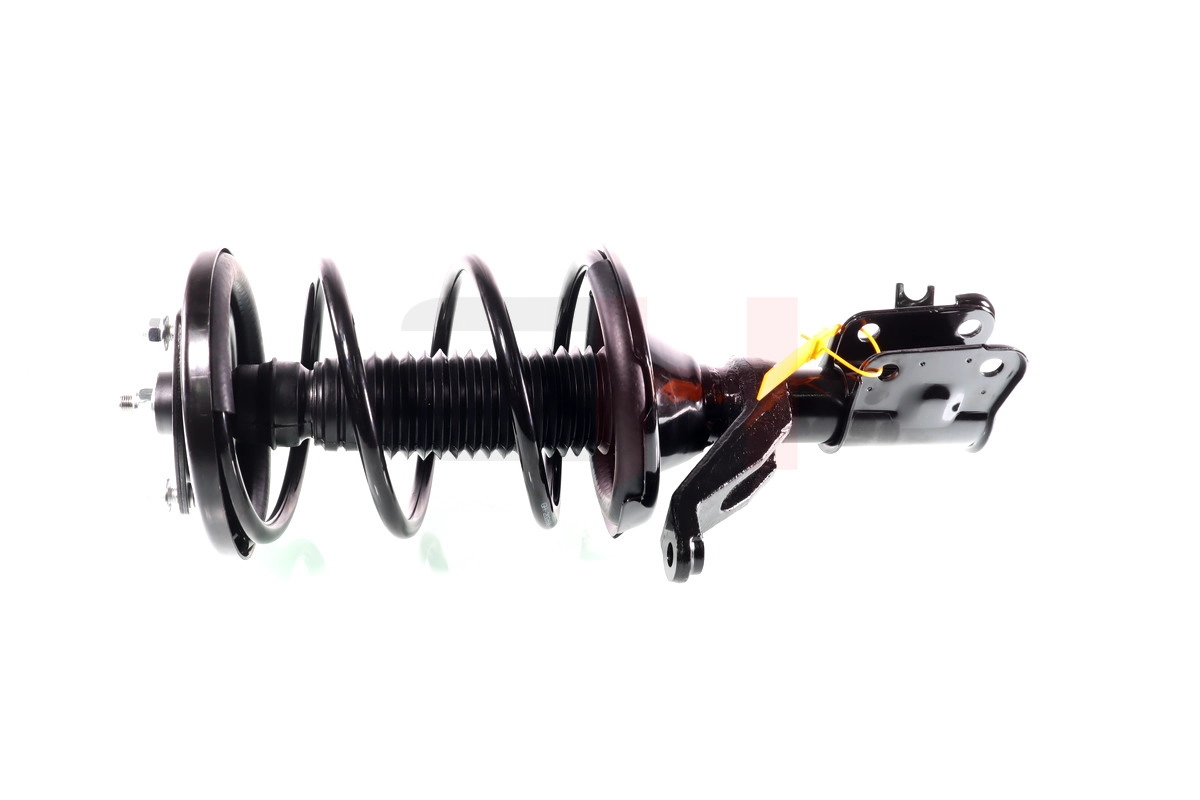 Suspension Strut (GH-352667C01)
