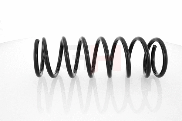 Suspension Spring (GH-222516)