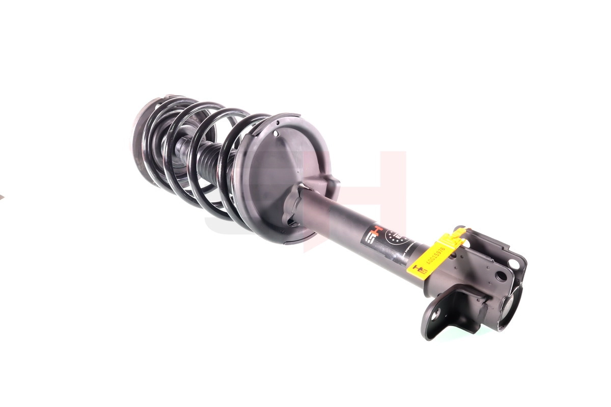 Suspension Strut (GH-359367C01)