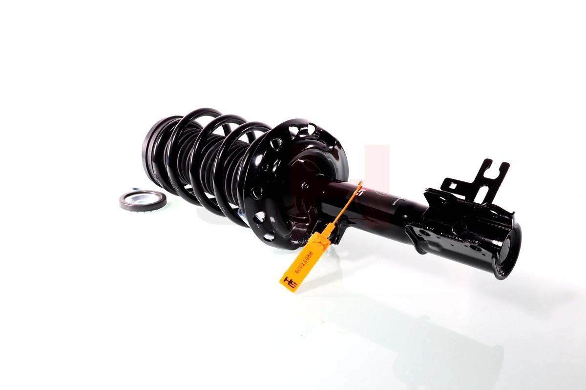 Suspension Strut