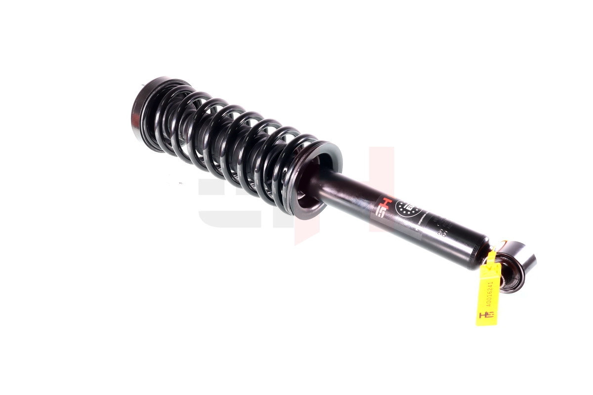 Suspension Strut (GH-331598C02)