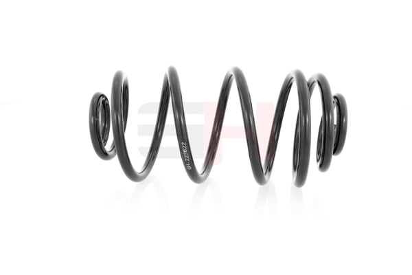 Suspension Spring (GH-223622)