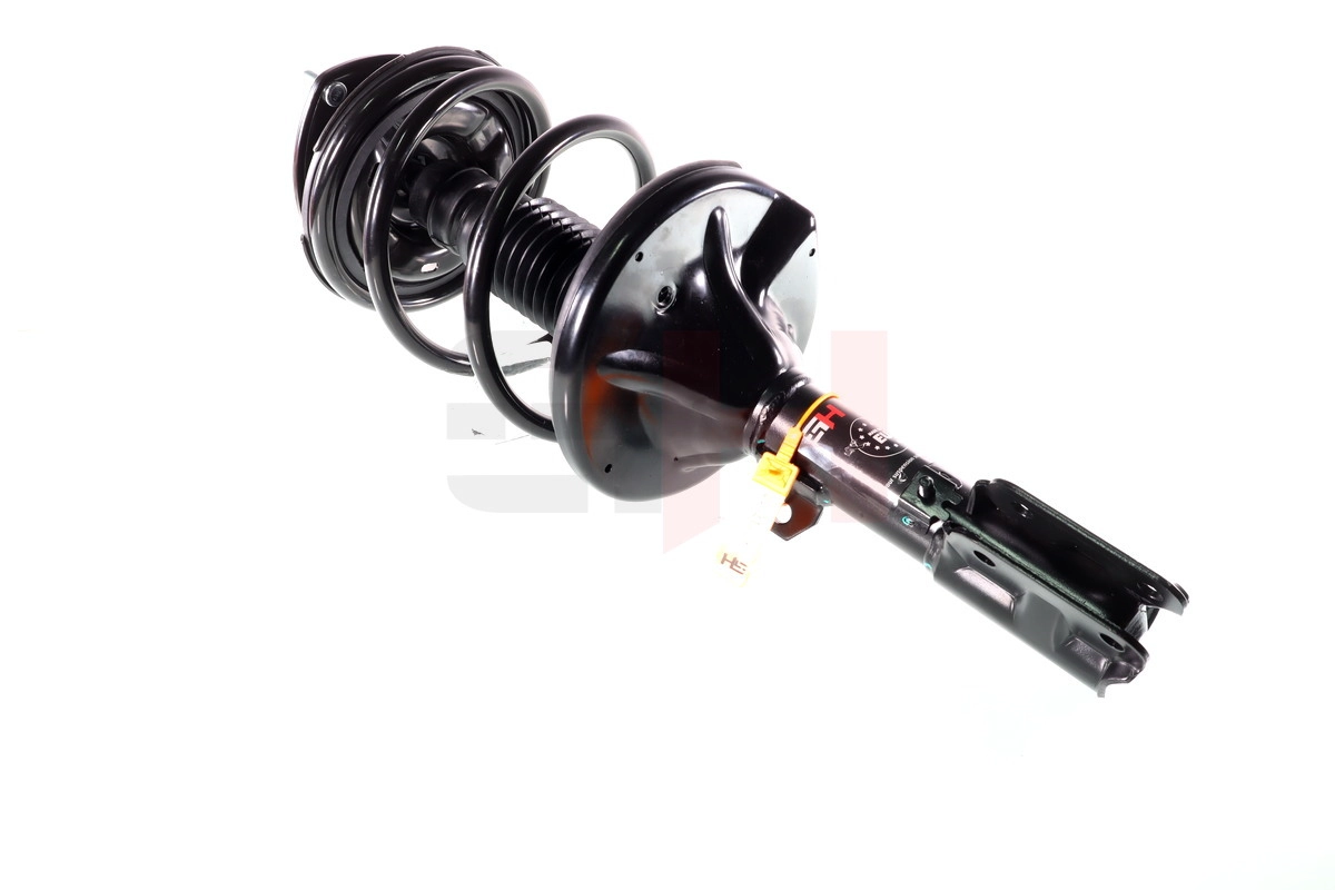 Suspension Strut (GH-353050C02)