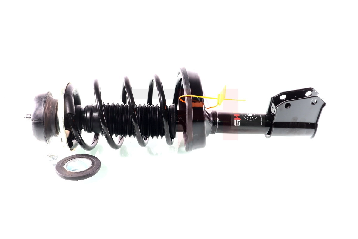 Suspension Strut (GH-353988C01)
