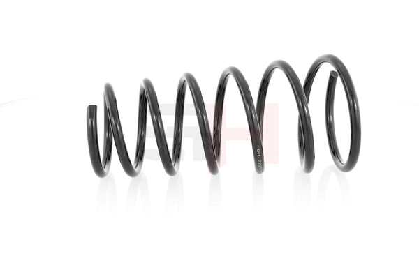 Suspension Spring (GH-222572)