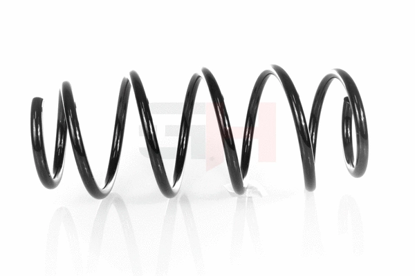 Suspension Spring (GH-202534)