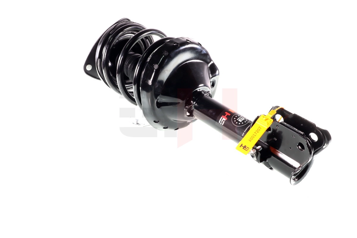 Suspension Strut (GH-354455C02)