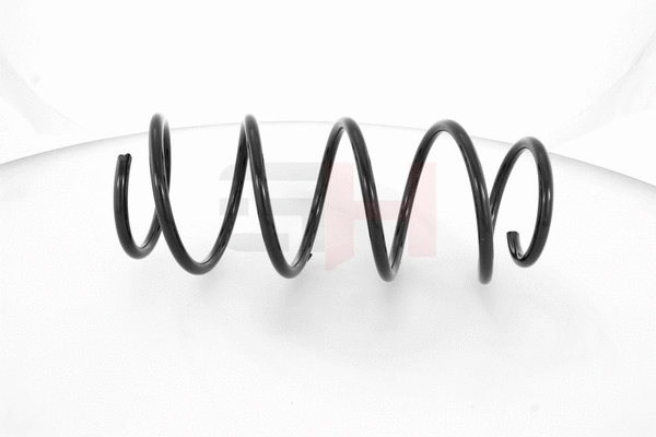 Suspension Spring (GH-202310)