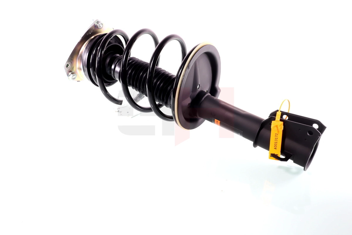 Suspension Strut (GH-352352C01)
