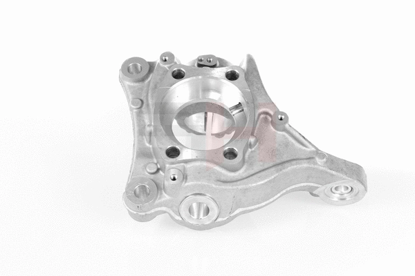 Steering Knuckle, wheel suspension (GH-299965V)