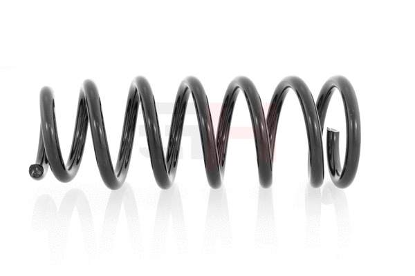 Suspension Spring (GH-224511)