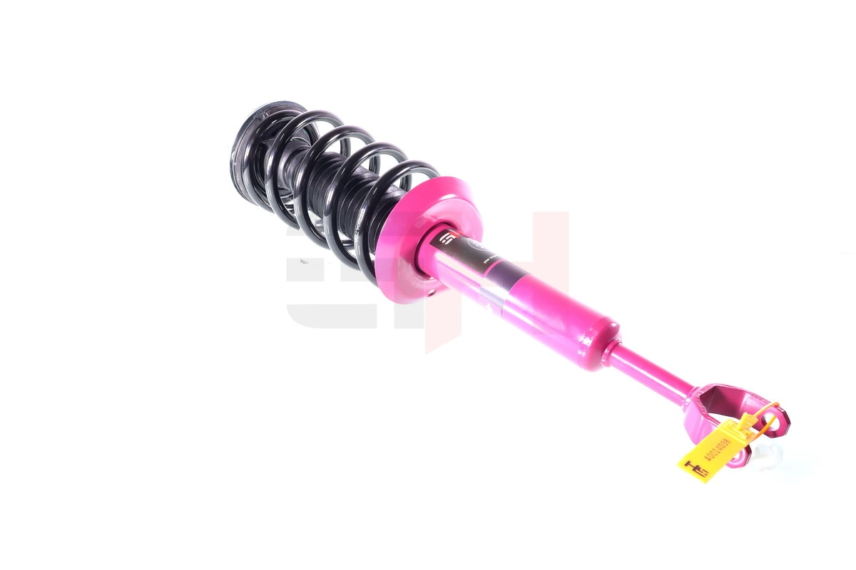 Suspension Strut (GH+334701C01)