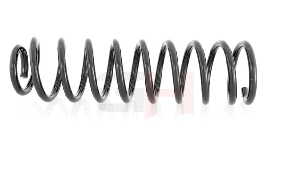 Suspension Spring (GH-224720)