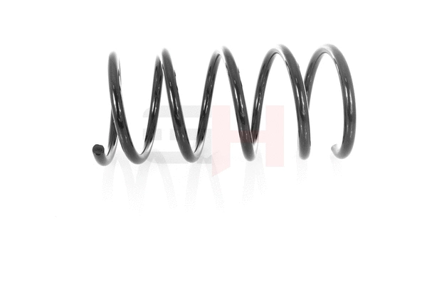 Suspension Spring (GH-224860)