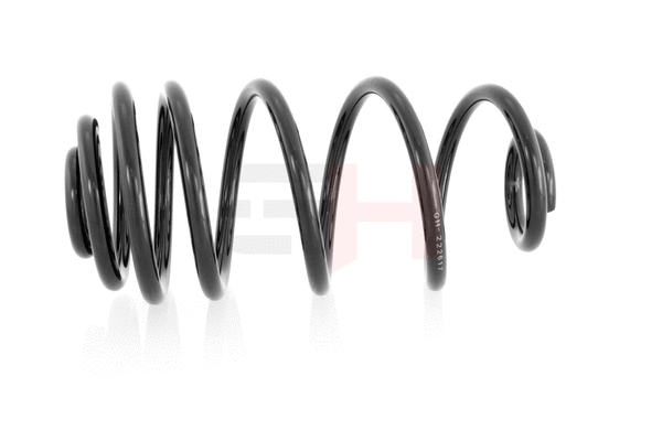 Suspension Spring (GH-223617)