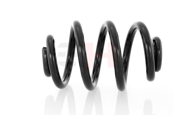 Suspension Spring (GH-221503)