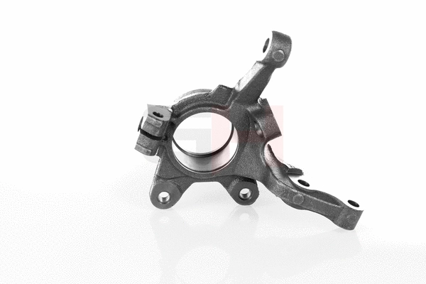 Steering Knuckle, wheel suspension (GH-293989V)