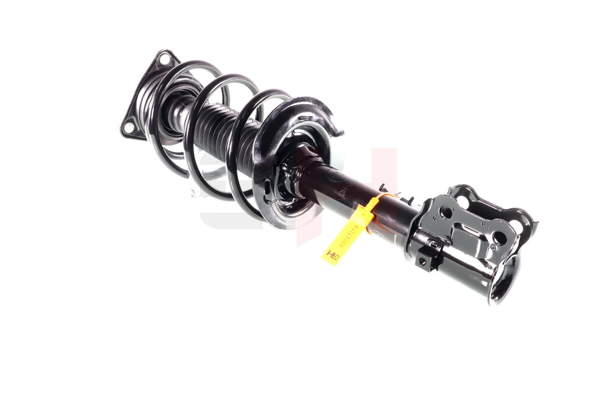 Suspension Strut (GH-353553C04)