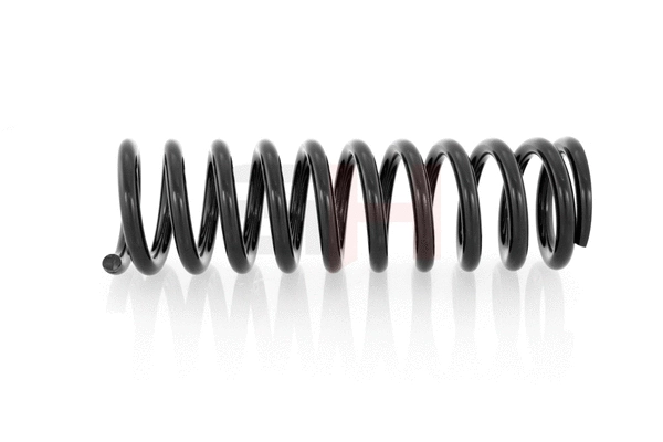 Suspension Spring (GH-223301)