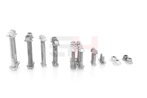 Mounting and Bolting Kit, control/trailing arm (GH-504799)