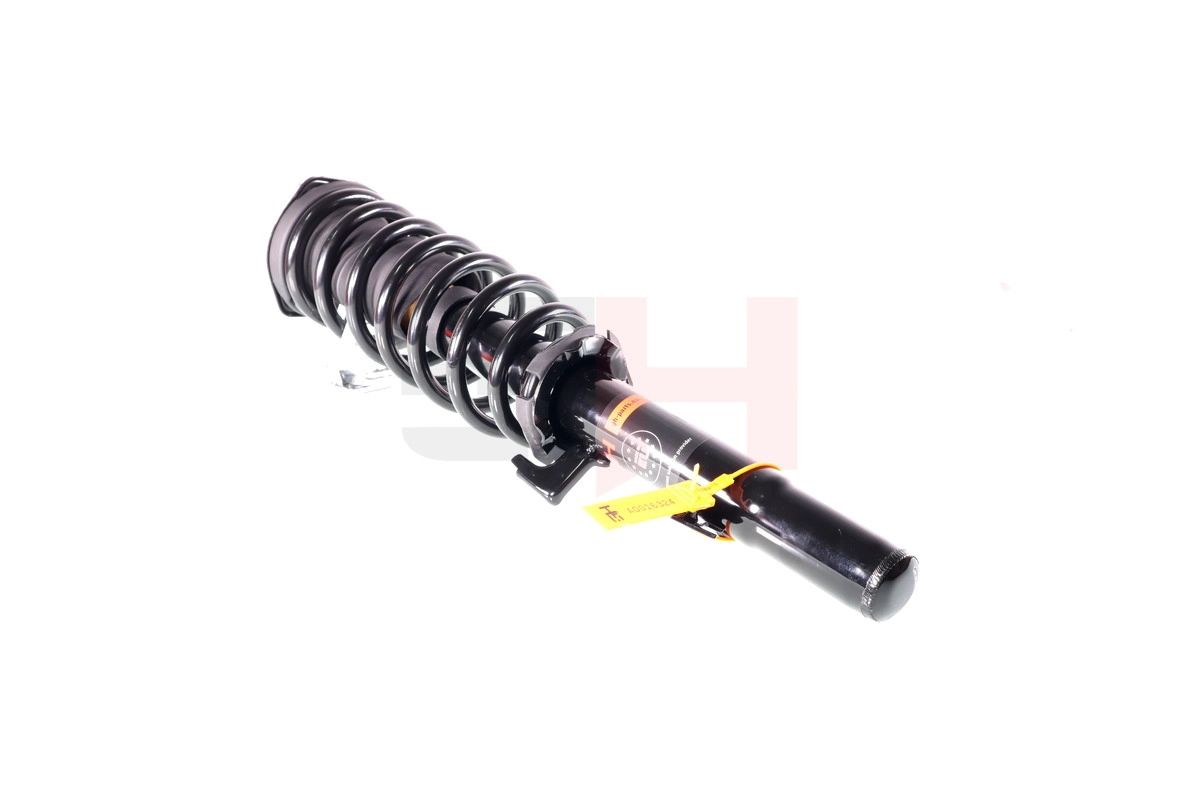Suspension Strut (GH-333266C02)
