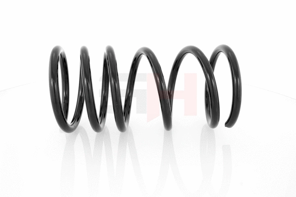 Suspension Spring (GH-202516)