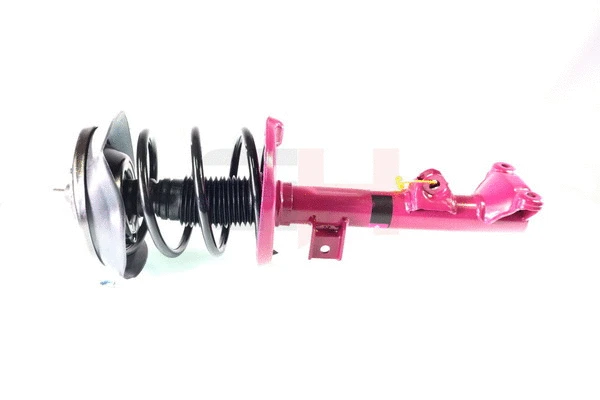 Suspension Strut (GH+353300C01)