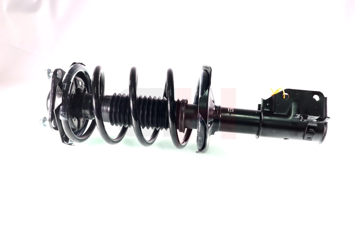 Suspension Strut (GH-353293C01)