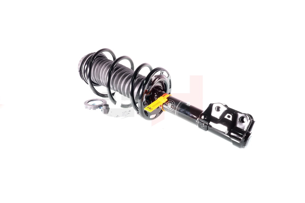 Suspension Strut (GH-352648C01)