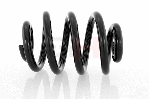 Suspension Spring (GH-224724)