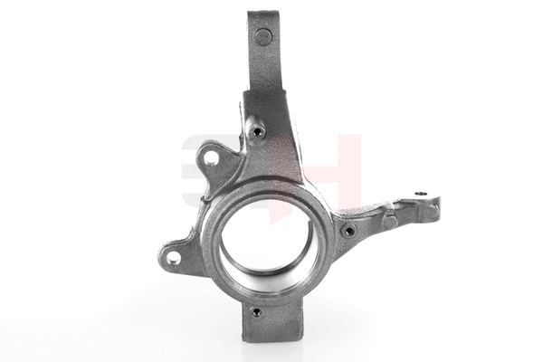 Steering Knuckle, wheel suspension (GH-293999V)