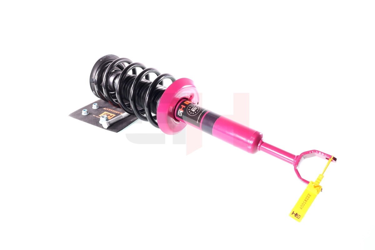 Suspension Strut (GH+334701C03A)