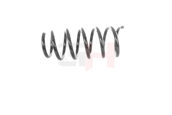 Suspension Spring (GH-203922)