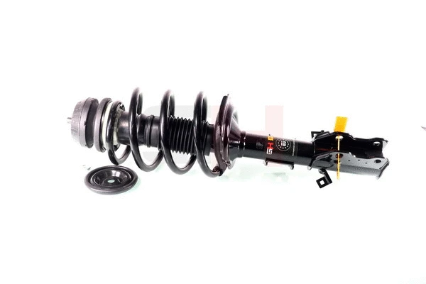 Suspension Strut (GH-353389C01)
