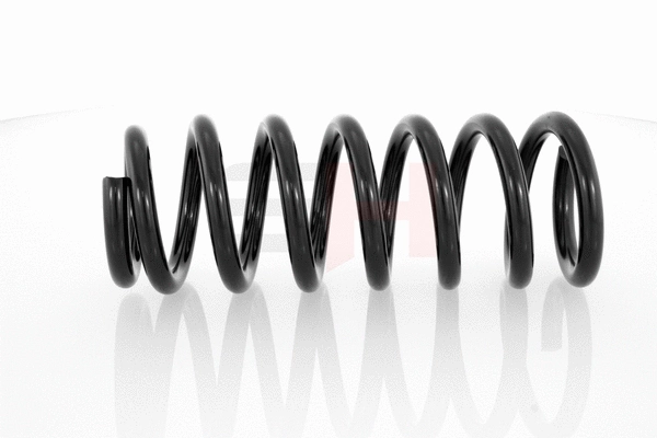 Suspension Spring (GH-205202)