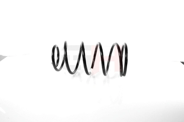 Suspension Spring (GH-209306)