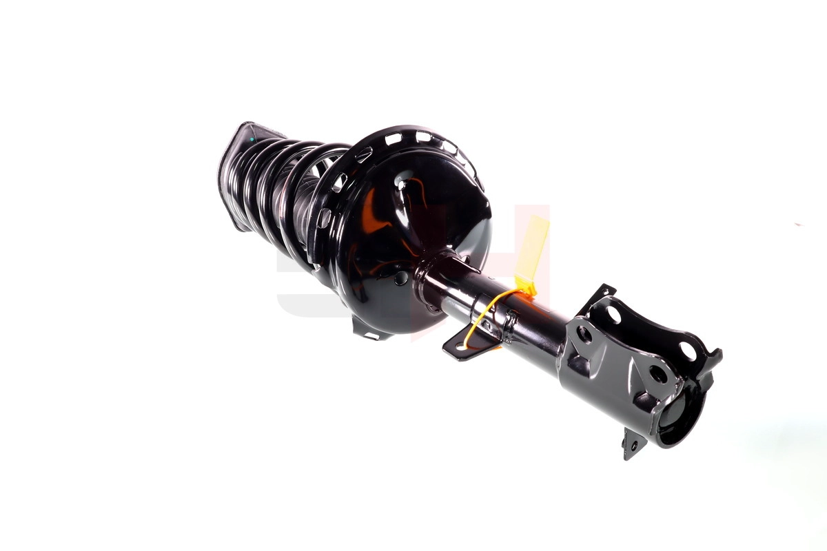 Suspension Strut (GH-356301C01)