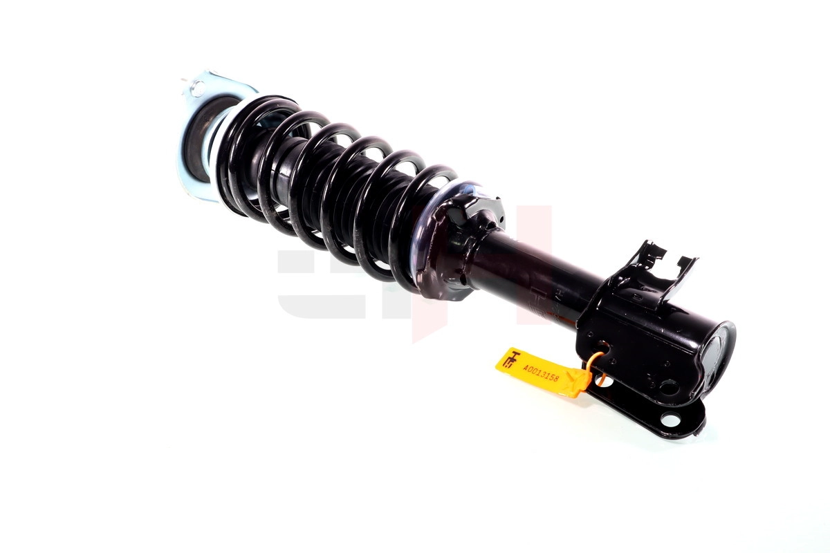 Suspension Strut (GH-355247C01)
