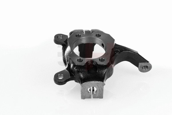 Steering Knuckle, wheel suspension (GH-292294V)