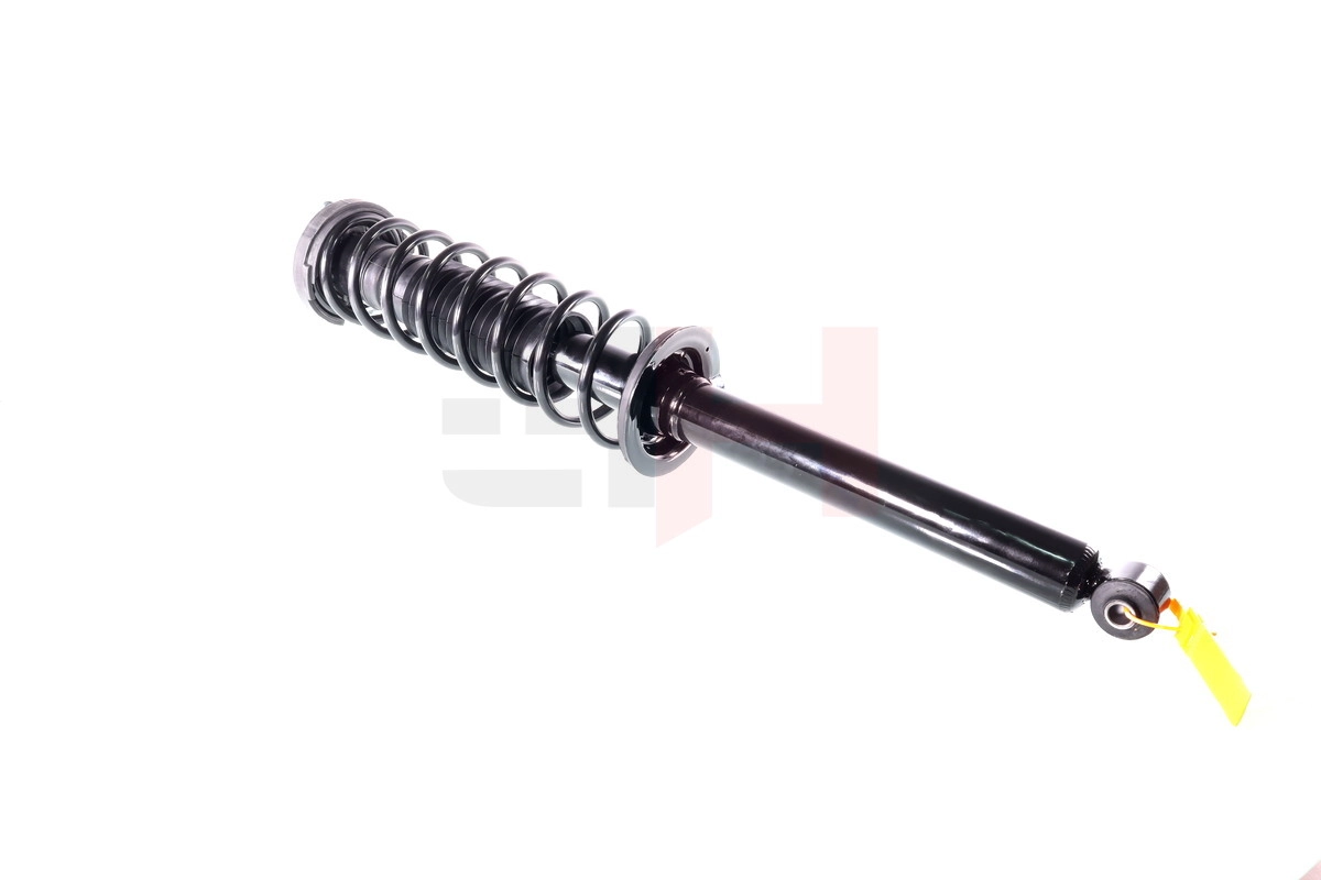 Suspension Strut (GH-333971C01)