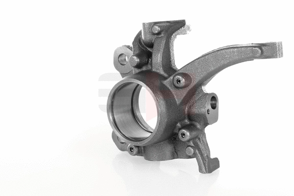 Steering Knuckle, wheel suspension