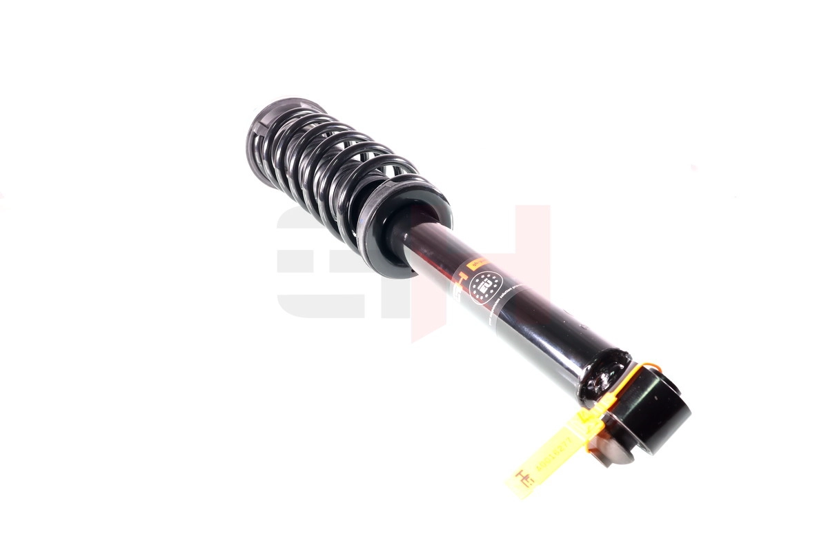 Suspension Strut (GH-331518C01)