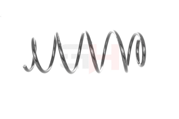 Suspension Spring (GH-204306)