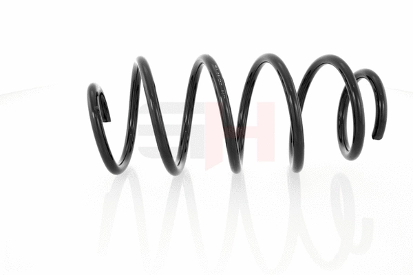 Suspension Spring (GH-204719)